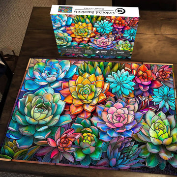 Farbenfrohe Sukkulenten Jigsaw Rätsel 1000 Stücke